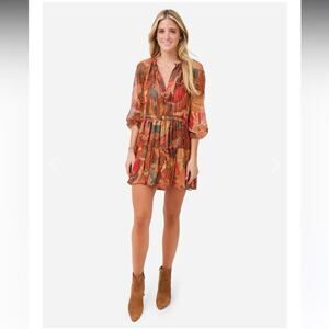 ALC Long Sleeve V Neck Silk Mini Dress Cinched Waist Size 8 Boho Abstract Print